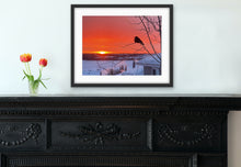 Load image into Gallery viewer, Sebastian at Dawn