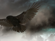 Load image into Gallery viewer, The Storm