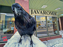 Load image into Gallery viewer, Javaroma Raven
