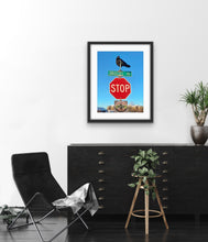 Load image into Gallery viewer, Driscoll Road