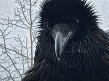 Load image into Gallery viewer, Soggy Sweetness
