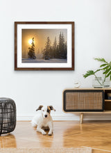 Load image into Gallery viewer, Fifty Below