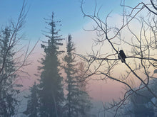 Load image into Gallery viewer, Sebastian at Dawn II