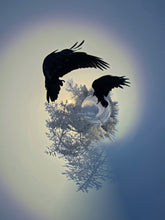 Load image into Gallery viewer, Frozen Vortex