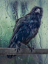 Load image into Gallery viewer, Soggy Sebastian