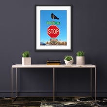 Load image into Gallery viewer, Driscoll Road