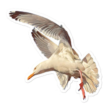 Load image into Gallery viewer, 'Graceful Gus' Sticker