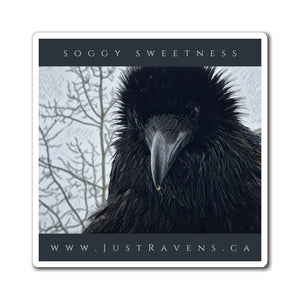'Soggy Sweetness' Magnet