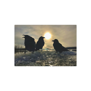 'Ravens on Ice' Metal Print