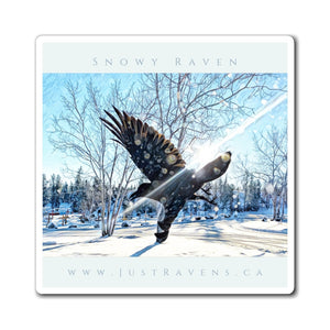'Snowy Raven' Magnet