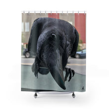 Load image into Gallery viewer, &#39;Co-Pilot&#39; Shower Curtain
