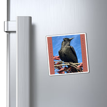 Load image into Gallery viewer, &#39;Autumn Raven&#39; Magnet
