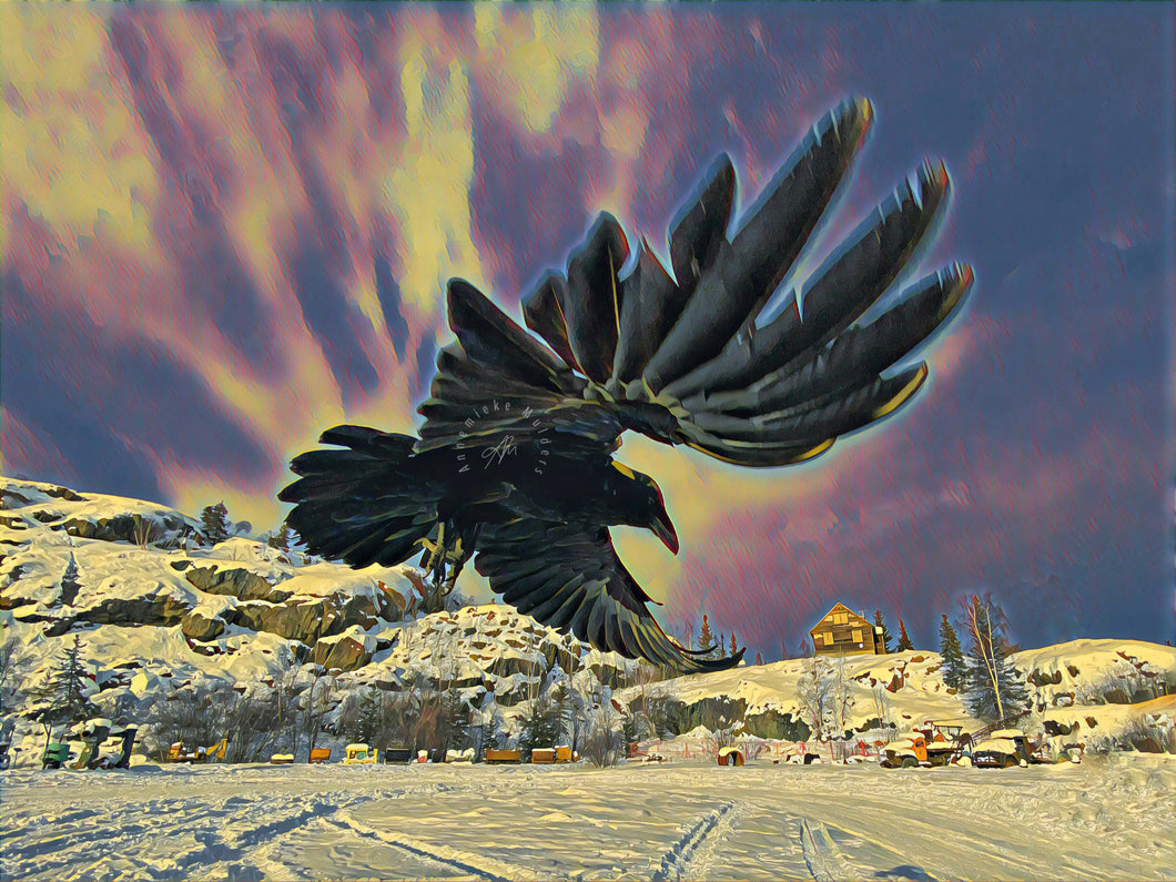 Giant Raven at Giant Mine