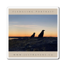 Load image into Gallery viewer, &#39;Fledgling Portrait #12&#39; Magnet
