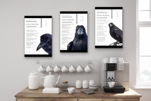 Raven Wisdom: Set of 3 Posters