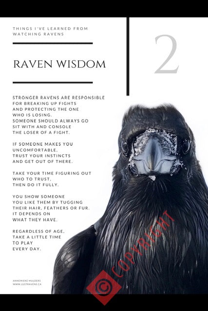 Raven Wisdom: Poster #2
