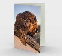 Load image into Gallery viewer, &#39;Curious Fledgling&#39; Art Cards (Set of 3)
