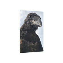 Load image into Gallery viewer, &#39;Fledgling Portrait&#39; Metal Print
