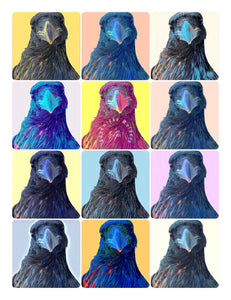 Warhol Ravens