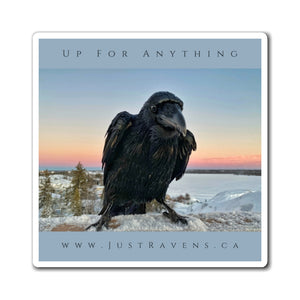 'Up For Anything' Magnet