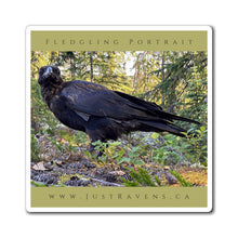 Load image into Gallery viewer, &#39;Fledgling Portrait #8&#39; Magnet
