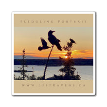 Load image into Gallery viewer, &#39;Fledgling Portrait #9&#39; Magnet
