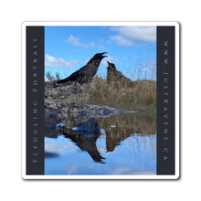 Load image into Gallery viewer, &#39;Fledgling Portrait #2&quot; Magnet
