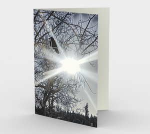 'White Sun' Art Cards (Set of 3)