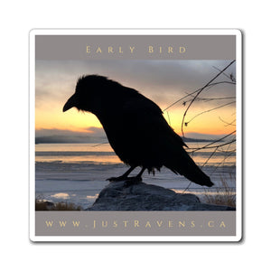 'Early Bird' Magnet