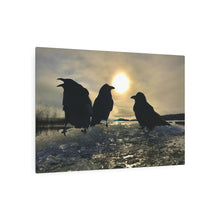 Load image into Gallery viewer, &#39;Ravens on Ice&#39; Metal Print
