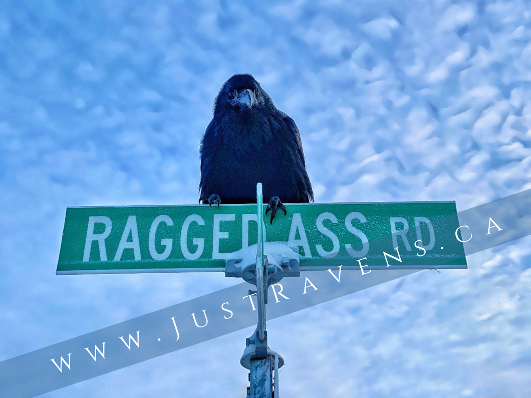 Ragged Ass Road