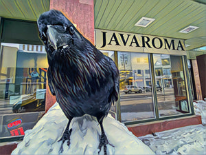 Javaroma Raven