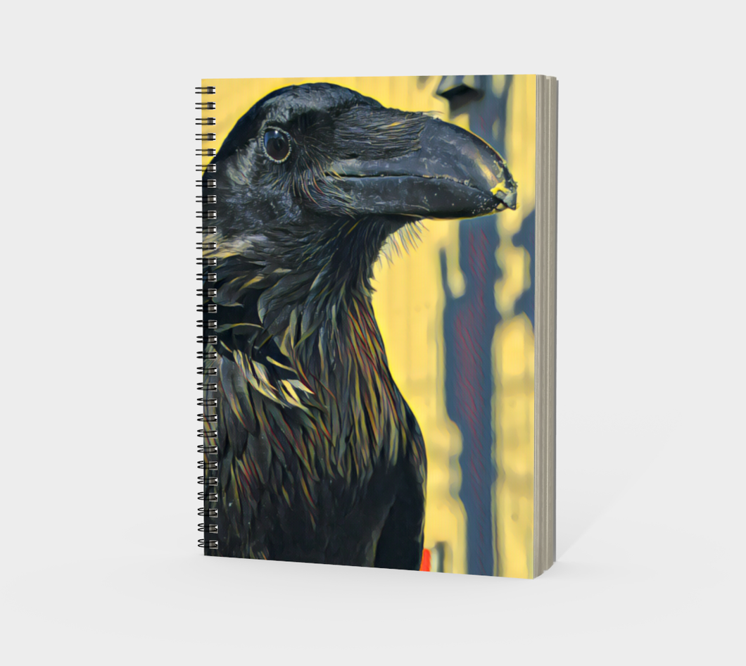 'Albert' Spiral Notebook (Without Cover)