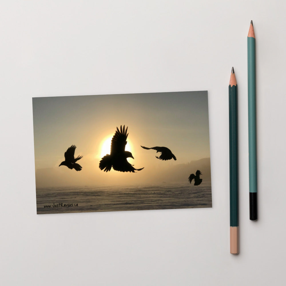 'Sun Dancers' Postcard
