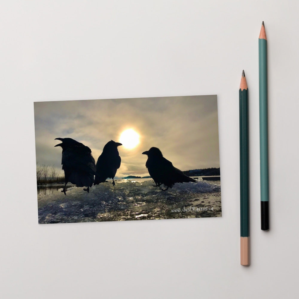 'Ravens on Ice' Postcard